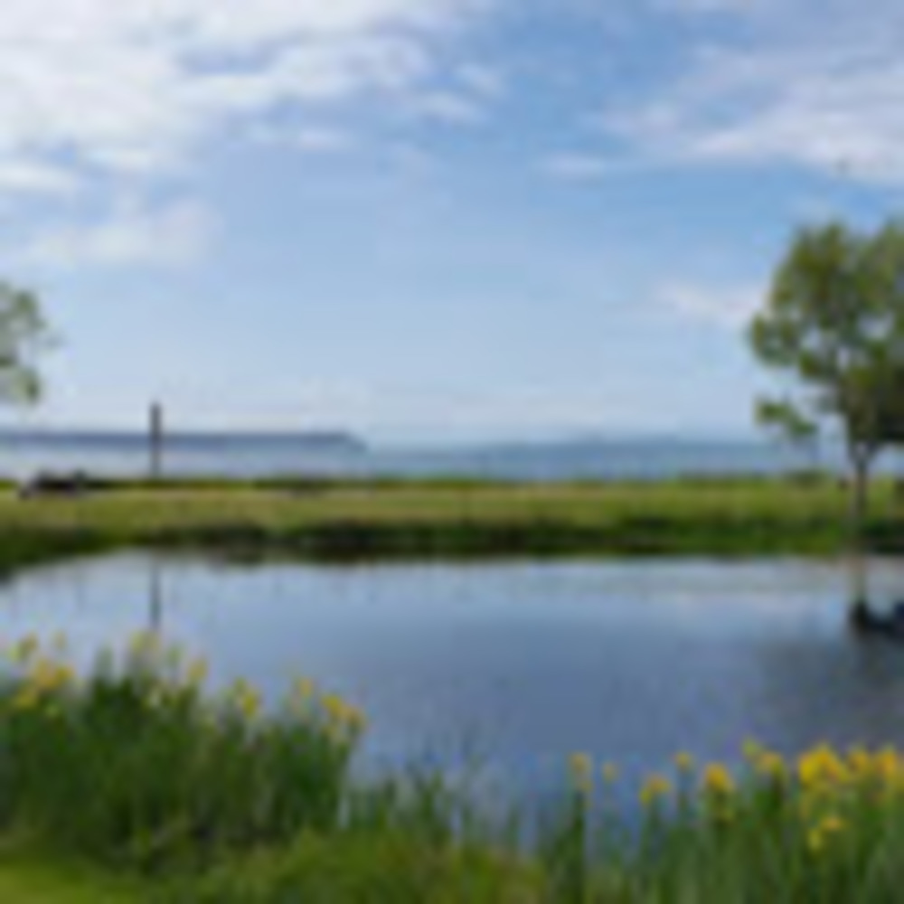 Meet your Posher, Paige